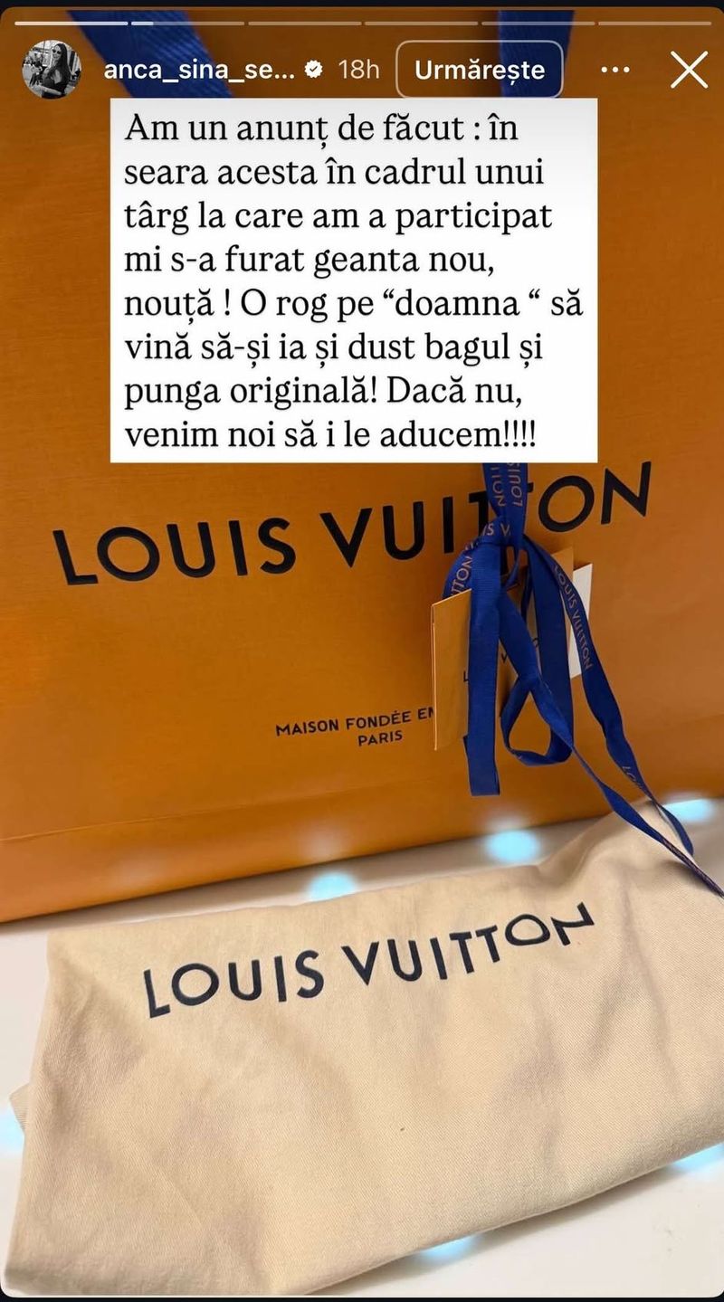 Anca Serea geantă