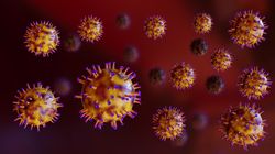 România se confruntă cu un risc epidemiologic major, după ce o boală contagioasă a fost raportată în apropiere de graniță! Ultimul focar de infecție a fost confirmat în urmă cu câteva zile
