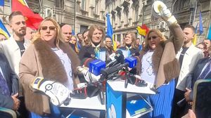 Diana Șoșoacă, în fața Biroului Electoral Central