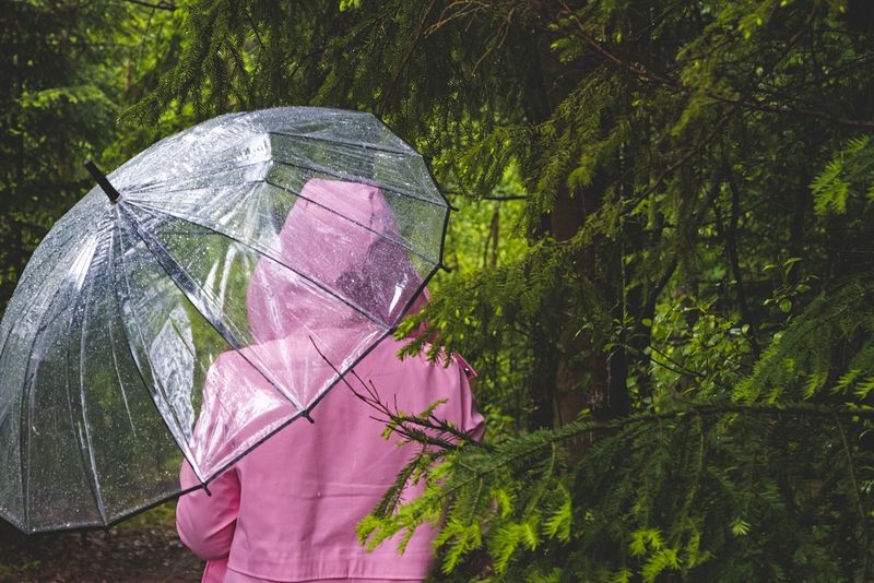 Vremea în București în weekendul 15-16 martie