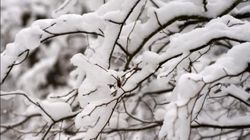 Va ninge în București?