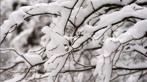 Va ninge în București?