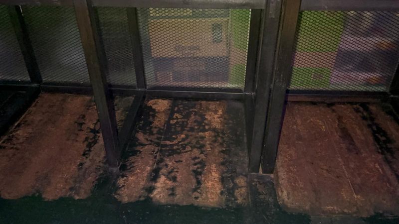 Nereguli găsite de inspectorii ANPC 