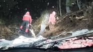 Imagini din timpul căutărilor