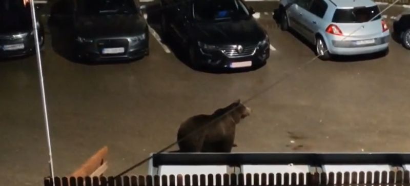 Imagini de la locul incidentului