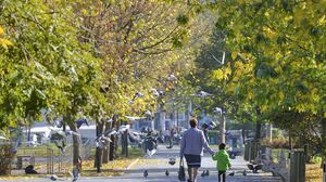 Parcul Drumul Taberei