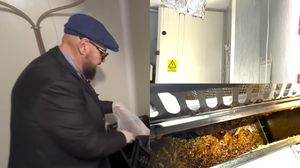 Cristian Popescu Piedone și inspectorii ANPC, în control în sectorul 5! Au fost date amenzi usturătoare în urma neregulilor descoperite