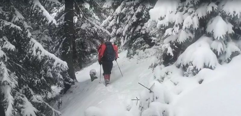 Imagini din timpul căutărilor Imagini din timpul căutărilor