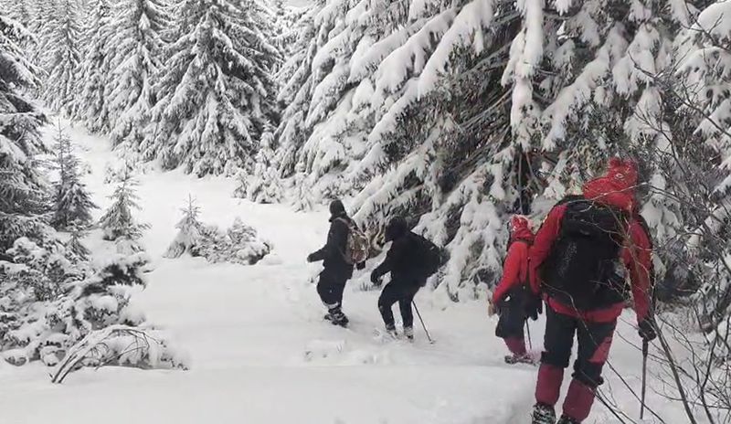 Imagini din timpul căutărilor Imagini din timpul căutărilor