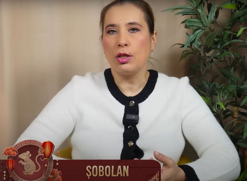 anca dimancea