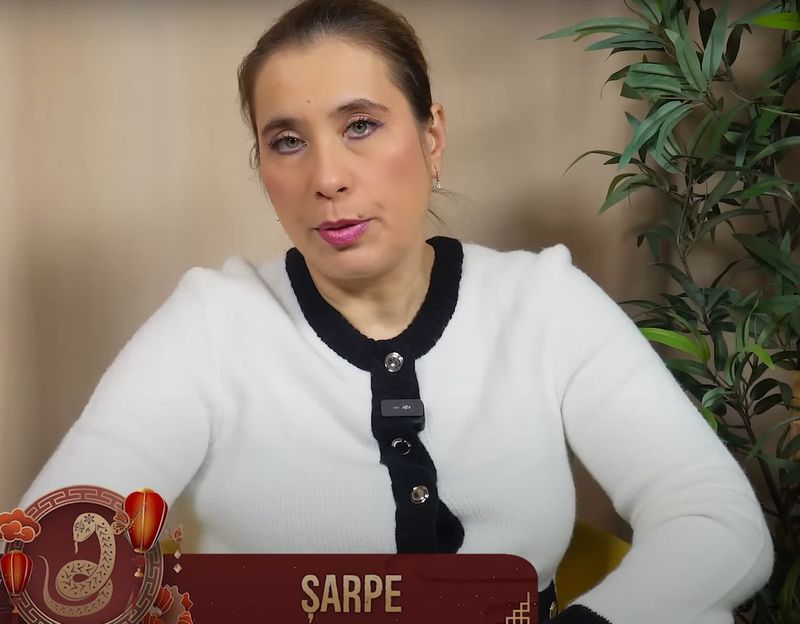anca dimancea