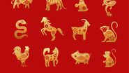 semne zodiac chinezesc