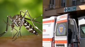 Imagine cu caracter ilustrativ  Imagine cu caracter ilustrativ