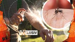 Minivacanță de 1 Mai în natură? Nu uita de pericolul invizibil: țânțarii. Cum eviți înțepăturile care pot deveni letale: "Țânțarii folosesc dioxidul de carbon pe care îl expirăm pentru a ne găsi chiar la o distanță de 5o de metri" | EXCLUSIV