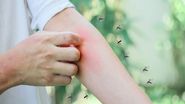 Minivacanță de 1 Mai în natură? Nu uita de pericolul invizibil: țânțarii. Cum eviți înțepăturile care pot deveni letale: "Țânțarii folosesc dioxidul de carbon pe care îl expirăm pentru a ne găsi chiar la o distanță de 5o de metri" | EXCLUSIV