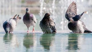 Imagine cu caracter ilustrativ