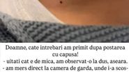 Fiul Simonei Gherghe a fost mușcat de o căpușă
