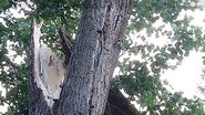Imagini de la locul incidentului
