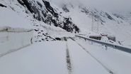 A nins în România