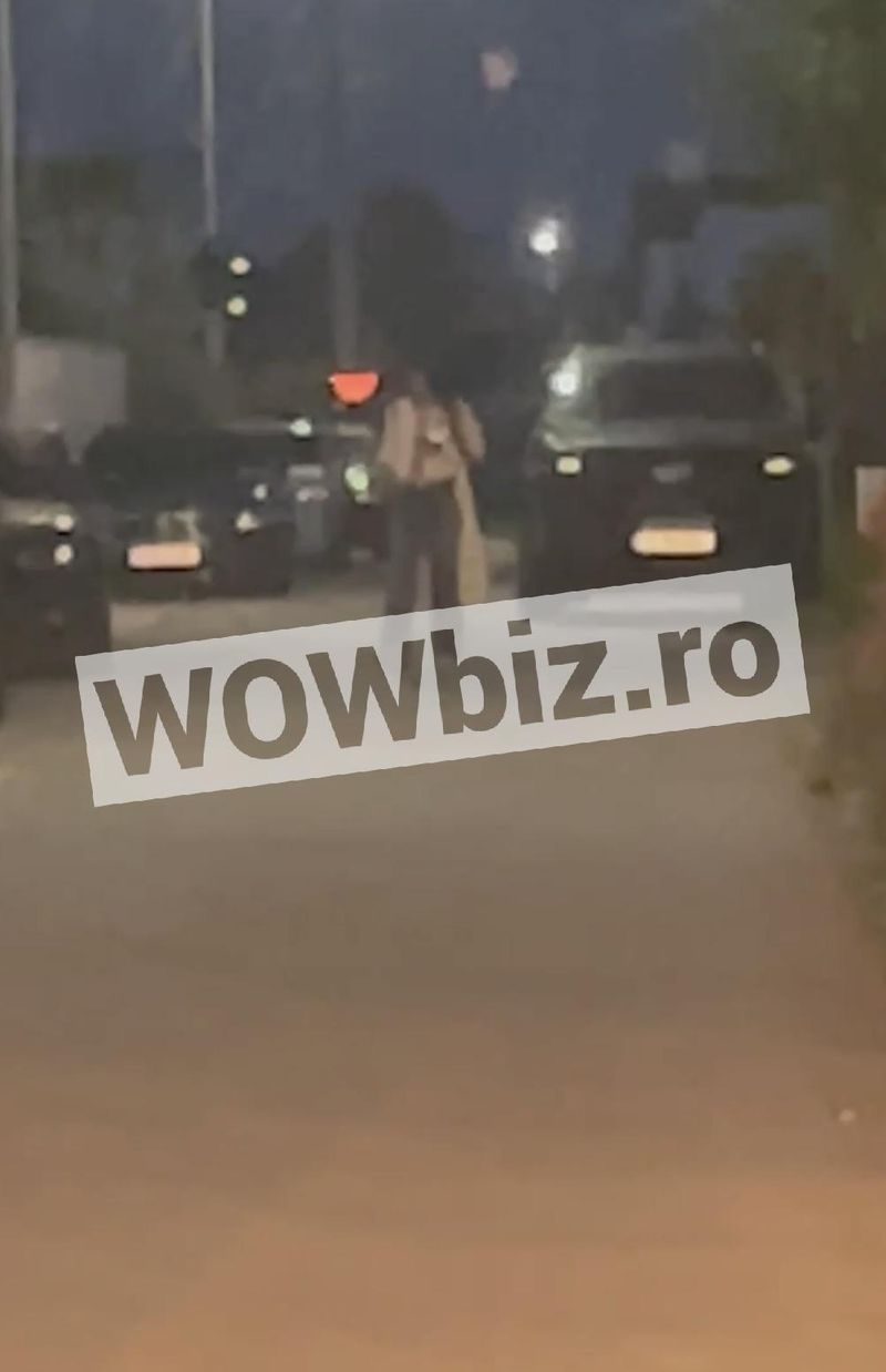 Soția lui Dan Alexa, surprinsă ieșind din vila lui Alex Bodi