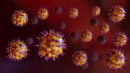 virus