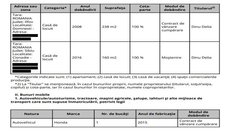Delia Dinu, declarație de avere