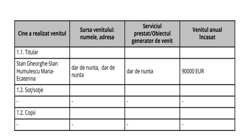Declarație de avere Gheorghe Stan