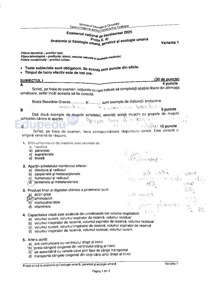 Subiecte Anatomie BAC 2025