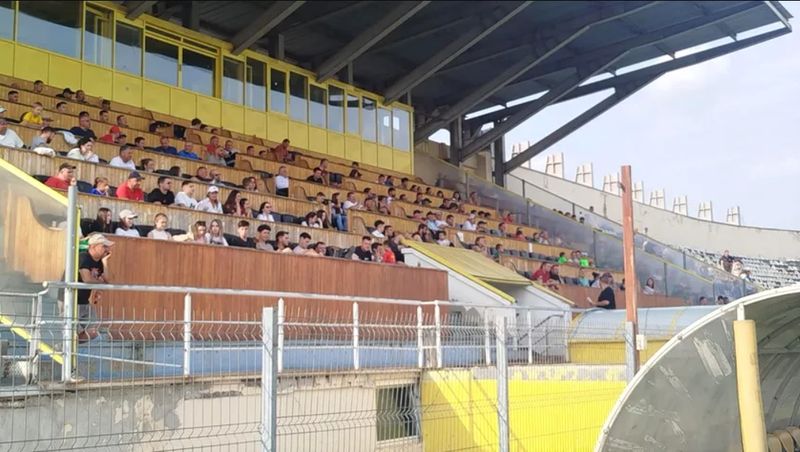 Ionel Ganea, prima apariție publică