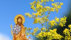 Mare sărbătoare pe 24 iunie 2025 în calendarul ortodox! Cruce roșie și dezlegare la pește de Sânziene!