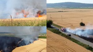 Incendiile de vegetație din Oltenia au distrus totul în cale! Fermierii și-au văzut munca făcută scrum într-o secundă: „Nu se mai poate recupera nimic”