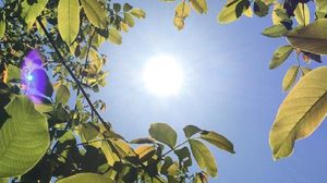 Temperaturi de 40°C în București