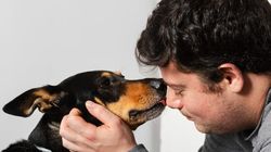 Legea privind protecția animalelor, modificată drastic! Sancțiunile uriașe pe care proprietarii de câini riscă să le primească. Ar putea fi pedepsiți chiar și cu închisoarea