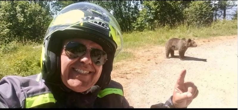 Turistul italian ucis de o ursoaică