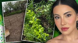 Nicoleta Nucă, de la muzică la grădinărit. Cum arată viața la țară prin ochii artistei, de când s-a mutat și a lăsat în spate agitația urbană: „Mi-am pus roșii, castraveți, fasole...”