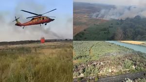 Incendiu în Delta Dunării