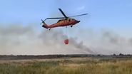 Incendiu în Delta Dunării