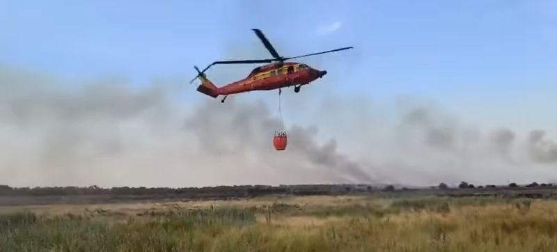 Incendiu &icirc;n Delta Dunării