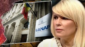Se scot la licitație terenurile Elenei Udrea! ANAF, statul român și DNA vor să își recupereze datoriile de pe urma acestei vânzări