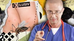 Alertă medicală: Primul caz de West Nile confirmat în România în vara lui 2025. Medicul Tudor Ciuhodaru trage un semnal de alarmă: „Nu neglijați înțepăturile de țânțari. Pot deveni letale” | EXCLUSIV