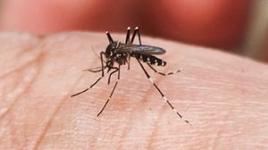 Virusul West Nile, confirmat în România