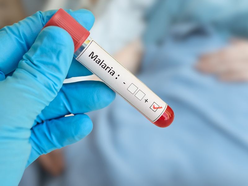 Malarie