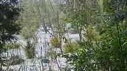 Furtună și grindină însemnată cantitativ în Neamț