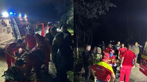 Un cioban din Argeș a fost atacat de urs! Bărbatul în vârstă de 68 de ani a fost găsit după cinci ore de căutări, în stare gravă