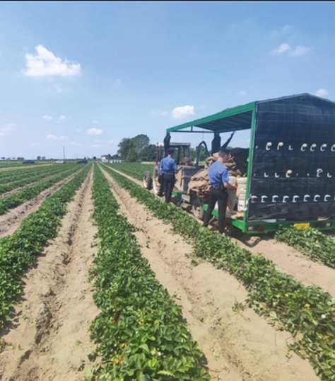 Locul tragediei Locul tragediei