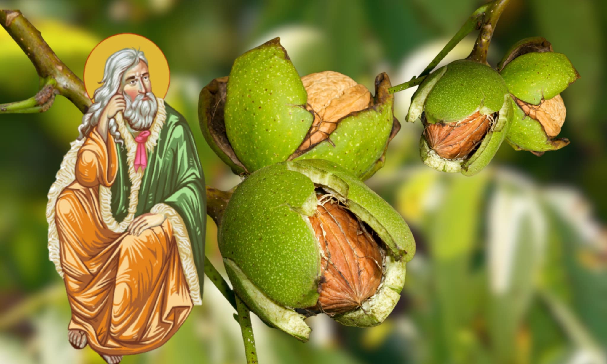 Ce e bine să împarți de Sfântul Ilie 2025. Alimentele pe care e bine să ...