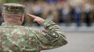 Voluntari Armata Română