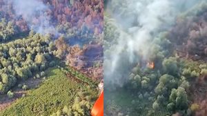 Imagini de la locul incendiului