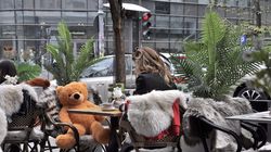 Ce poți face în București în weekend-ul 8 -10 august 2025. Capitala oferă oportunități nelimitate!