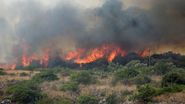 incendiu grecia